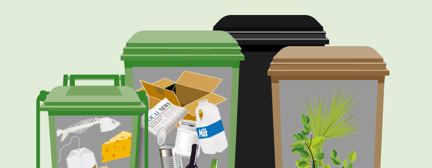 Image of bins showing items to be recycled